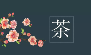 k8凯发之家宜昌店业务部开展关于茶艺知识培训