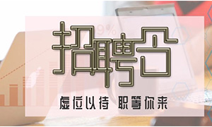 服务商户，致力发展—安徽分公司合肥滨湖店携手优质商户人才招聘会 
