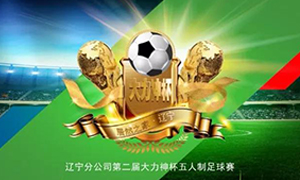 辽宁专场丨第二届“大力神杯”足球赛圆满落幕！
